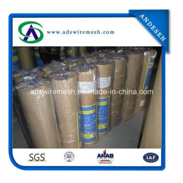 1/4 Inch Galvanized Welded Wire Mesh